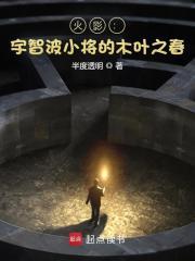 宇智波与木叶