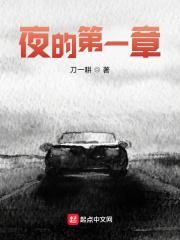 夜的第六章
