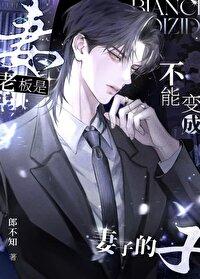 老板的老婆可以做财务吗
