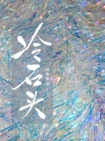 冷石头四维棱全文免费阅读